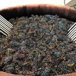 fermentacion-jimenez-landi-sembra-vinos