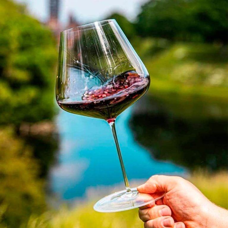 Copa Borgoña Zalto - Sembra Agencia de Vinos