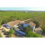 white-2015-nov-bodegas-vicente-gandia-vista-area